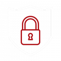 Data Security Icon